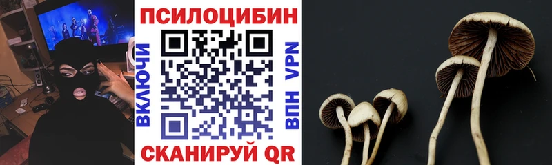 Галлюциногенные грибы мухоморы  Обь 