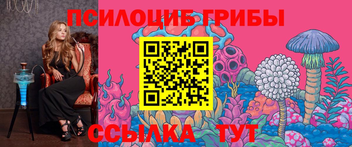 как найти закладки  Вход с VPN  Обь  Псилоцибиновые грибы Cubensis 