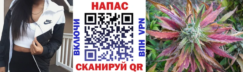Марихуана Amnesia  Обь 